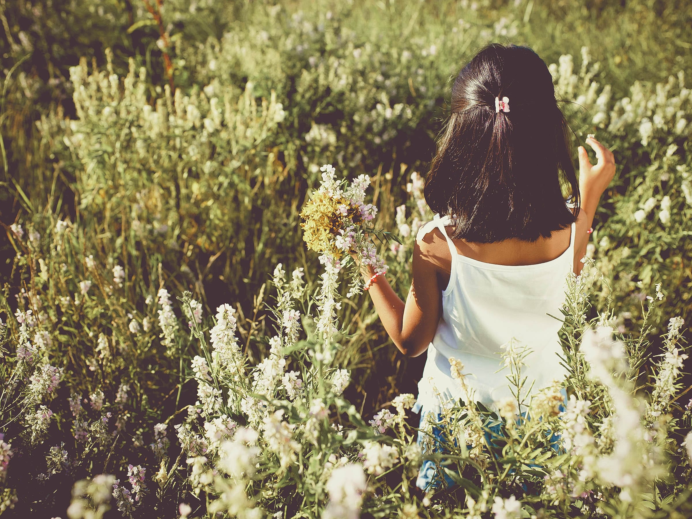 Young girl picking flowers Morrison Child & Family Services